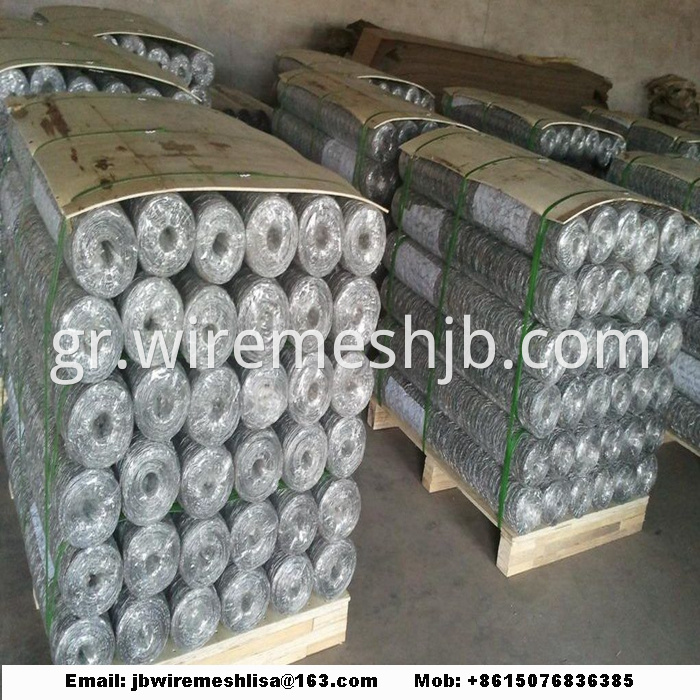 Galvanized Hexagonal Wire Netting